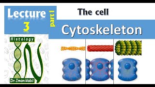 3aCytoskeleton part1CellHistology [upl. by Langley]