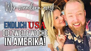 🇺🇸 ENDLICH AUSGEWANDERT 3 Power Tage amp das Haus füllt sich  USA Auswanderer Vlog 19 [upl. by Neetsirhc]