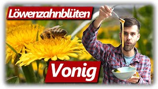 Löwenzahnblüten Vonig machen kein Honig  Sirup Anleitung Schritt für Schritt und Verkostung [upl. by Cory120]