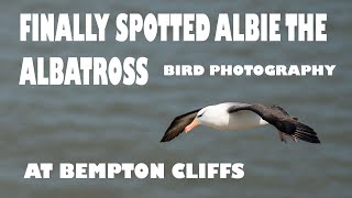 FINALLY PHOTOGRAPHED ALBIE THE BLACK BROWED ALBATROSS BIRD PHOTOGRAPHY [upl. by Berta]