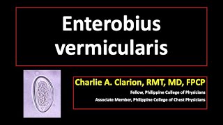 Enterobius vermicularis [upl. by Enehs563]