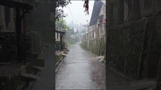 Heavy Rain and Thunder in Beautiful Hilly Village  Rain Walk  Sleep Therapy Meditation  asmr [upl. by Shorter716]