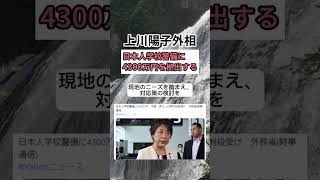 【上川陽子外相】日本人学校警備に4300万円を拠出する shorts [upl. by Ansaev]