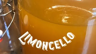 Easy Homemade Limoncello with honey [upl. by Utley]