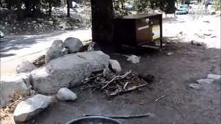 Sequoia National Park Lodgepole Campground Site 70 [upl. by Trometer]