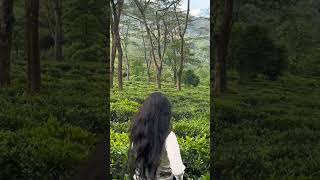 Somewhere in Sri Lanka  අද යමු එහේ srilanka travel hiking hulangala viral mountains [upl. by Church]