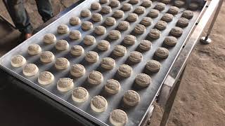 Osmania Biscuit Touch Wire Cut Cookies Machines  Mutchall Engineering pls contact  91 9014724538 [upl. by Elaen]