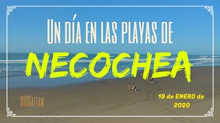 Un día en las Playas de Necochea [upl. by Little]