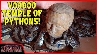 INSIDE THE BALL PYTHON VOODOO TEMPLE IN AFRICA Ouidah Benin West Africa [upl. by Adnwahsat]