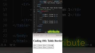 HTML Coding QampA 19 Add a border to a table in HTML html htmlcoding css shorts [upl. by Rosel957]