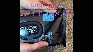 DUDE Wipes  Medicated Flushable Wipes Unscented [upl. by Allimak655]