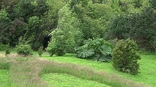 CNN en Viaje Puerto Chacabuco Laguna San Rafael y Parque Aikén del Sur [upl. by Ialda]