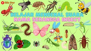 BELAJAR NAMA SERANGGA DALAM BAHASA INGGRIS  NAMES OF INSECT LEARN ANIMALS NAMA BINATANG NAMA HEWAN [upl. by Notliw]