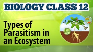 Types of Parasitism in an Ecosystem  Organisms and Environment 2  Biology Class 12 [upl. by Beard]