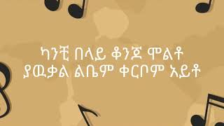 eyob mekonnen debzzesh lyrics እዮብ መኮንን ደብዝዘሽ [upl. by Ahsenal770]