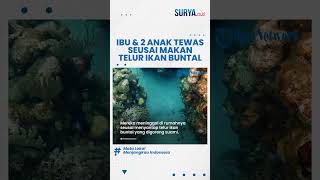 GEGARA Ikan Buntal Ibu dan 2 Anak di Maluku Tengah Tewas seusai Konsumsi Ikan Buatan Sang Suami [upl. by Swihart]