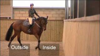 Flatwork Training for Showjumping [upl. by Constancia]