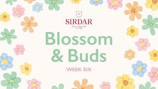 Sirdar Blossom amp Buds Crochet Along Week 6  Pretty Borders [upl. by Zaller]