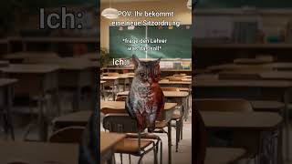 POV Ihr bekommt eine neue Sitzordnung 🙄 katzenvideos katzen shorts schule [upl. by Amasa]