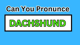 DACHSHUND pronunciation  How to pronounce quotDACHSHUNDquot  DACHSHUND meaning [upl. by Eardnoed]