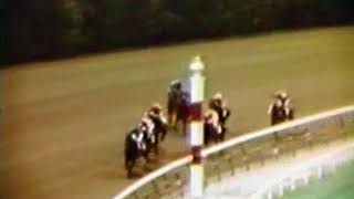 Seattle Slews second career race [upl. by Faxen]