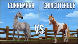 Connemara VS Chincoteague  Star Stable  SSO [upl. by Enetsirhc]