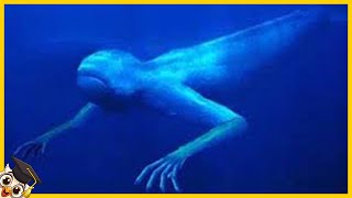 Top 10 Mysterieuze Onderwater Monsters [upl. by Sclar]