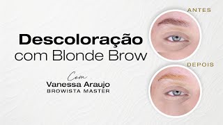 BLONDE BROW  DESCOLORAÇÃO DE SOBRANCELHAS [upl. by Gnim]