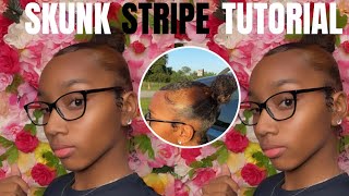 Impulsively doing the Skunk Stripe at home 😁😬  Plus new intro [upl. by Ferris746]