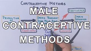 Contraceptive Methods for Male [upl. by Lipson]