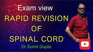 Spinal cord quick revision in Hindi [upl. by Bibbye]