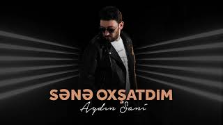 Aydın Sani  Sənə Oxşatdım  Azeri Music OFFICIAL [upl. by Bennink]