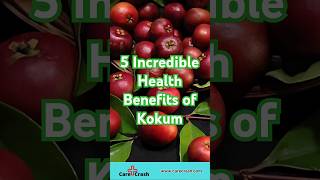 5 Incredible Health Benefits of Kokum  carecrash [upl. by Jefferey775]