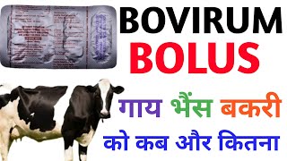 Bovirum bolus uses in hindi bovirum bolus veterinary uses in hindi Bovirum bolus [upl. by Leinto]