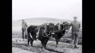 Crofters And Crofting Scotland 2 [upl. by Tammy939]