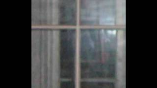 WHALEY HOUSE GHOST PHOTOGRAPH [upl. by Lieno]