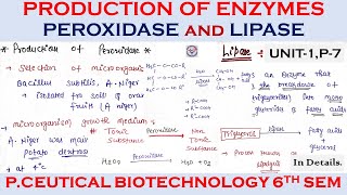 Production of enzymes  Peroxidase And Lipase Production Pharmaceutical Biotechnology  u1 Part7 [upl. by Dotty]