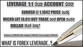 forex leverage explained sinhala [upl. by Mcclary]