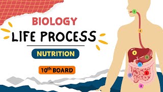 Life Process  Nutrition  L 2  Biology  X Board ncert kota [upl. by Garrett]