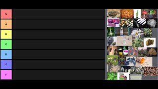 My drug tier list ranking 33 substances [upl. by Berwick656]