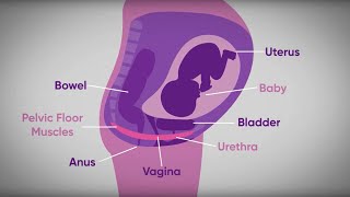 Pelvic floor exercises during pregnancy  txt4two Program  Mater Mothers [upl. by Feldt]