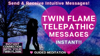 Twin Flame Reunion Meditation  Telepathic Communication with your Twin Flame 💖 POWERFUL 💖 [upl. by Hallie157]