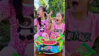 197Watermelon Ice Cream Hydraulic Press SECRET cute baby candy  watermelon candy is great [upl. by Suivatram41]