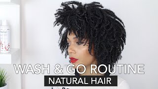 My Wash amp Go Routine  TightlyCoiled Natural Hair 4a4b4c [upl. by Demb]