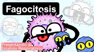 Fagocitosis y Estallido Respiratorio  Macrófagos y Neutrófilos [upl. by Hterag90]