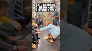 Kepiting Lepas Kacaukan Penumpang Kereta respect amazingfacts craft [upl. by Scurlock]