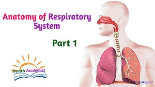 Anatomy of Respiratory System Part 1 Interesting Video with Amharic Speech [upl. by Niobe]