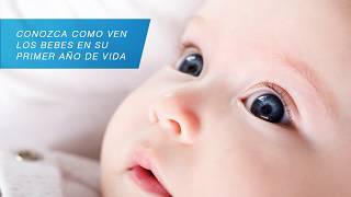 Como ven los bebes en su primer año de vida [upl. by Magnien]