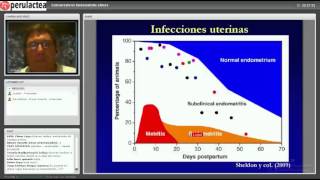 Perulactea EN VIVO Endometritis Clínica en Vacas de Lecheras [upl. by Noet]