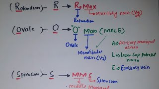 Mnemonic for Foramena Ovale  Structure passing throug it [upl. by Hillier]